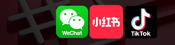 알고리즘 반응 지표